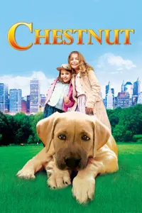 Kahraman Köpek izle