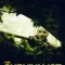 The Survivalist fragman izle