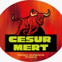 CesurMert adlı kullanıcı